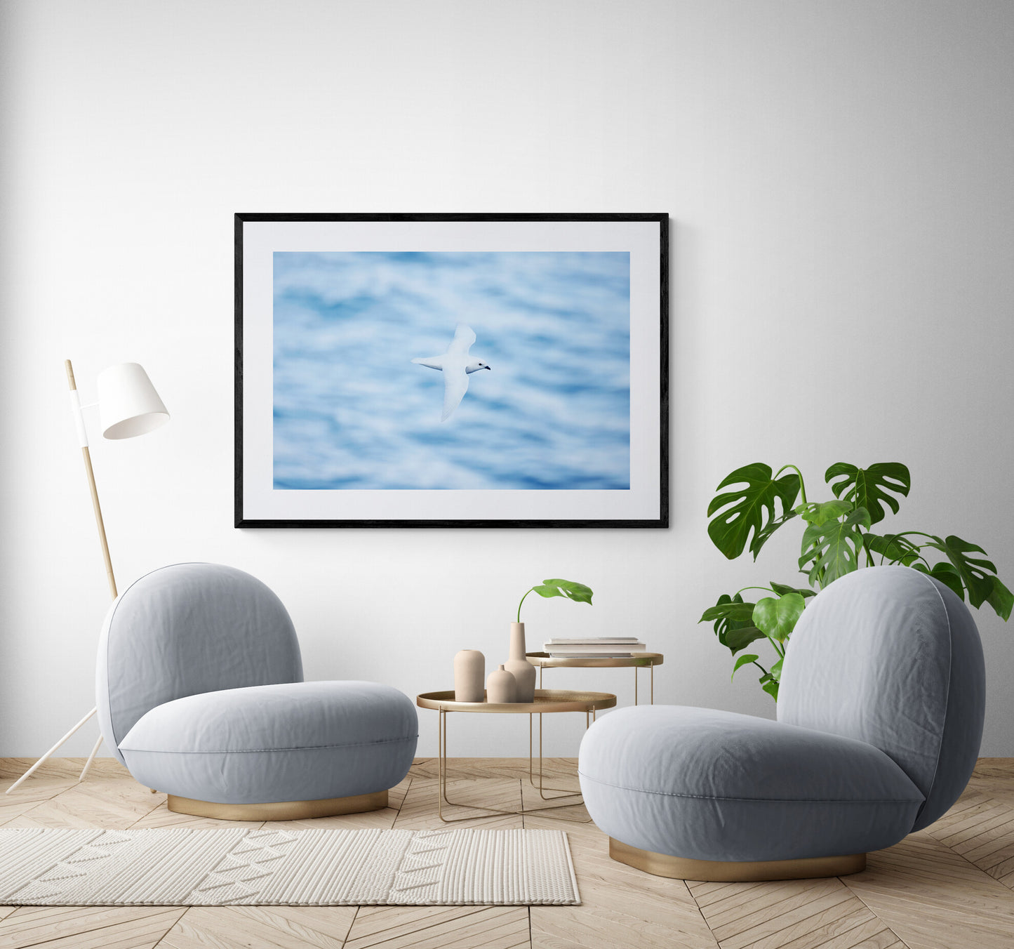 Graceful glider - Snow Petrel, Antarctica