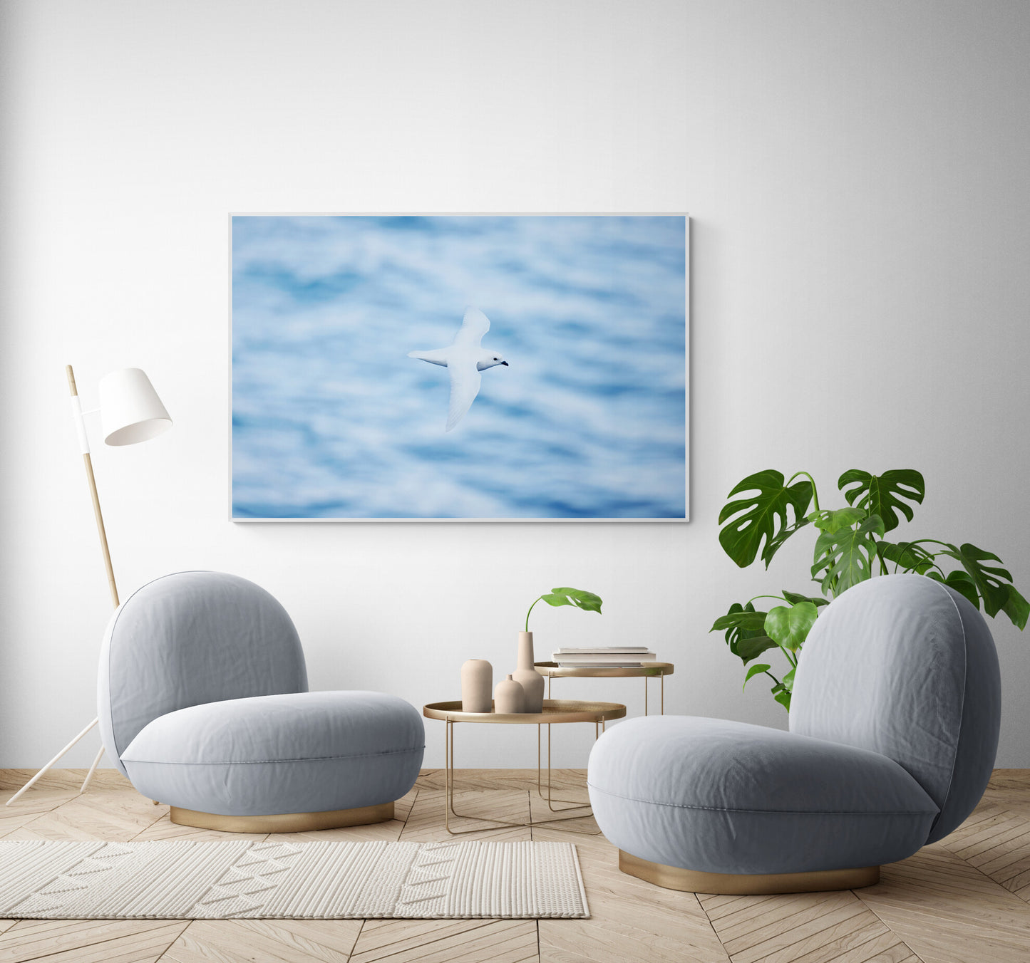 Graceful glider - Snow Petrel, Antarctica