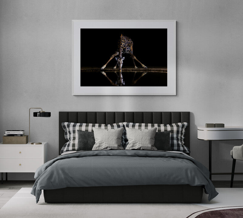 The long reach - Giraffe, Kenya