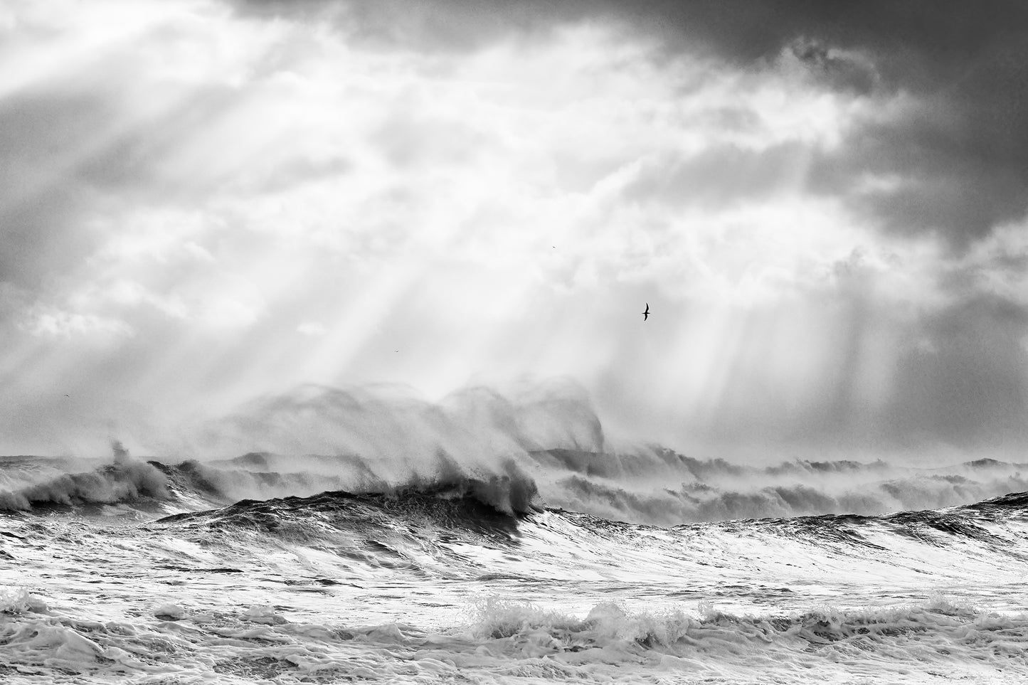 Into the light - Breaking waves Point Danger, Coolangatta