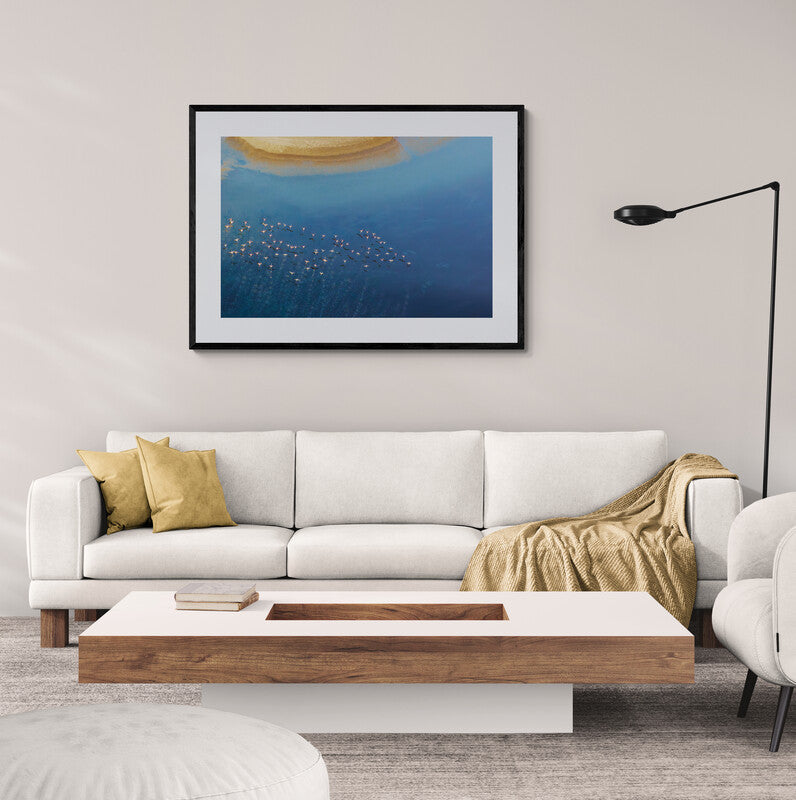 Ripples - Flamingos, Kenya