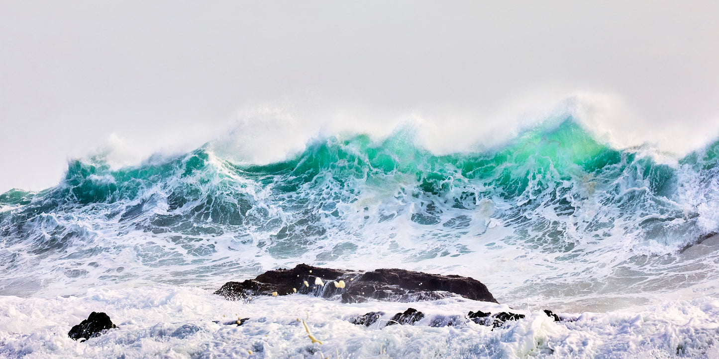 Shake it up - Breaking wave Snapper Rocks, Gold Coast