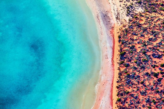 Fire and ice - Ocean art, Shark Bay Western Australia