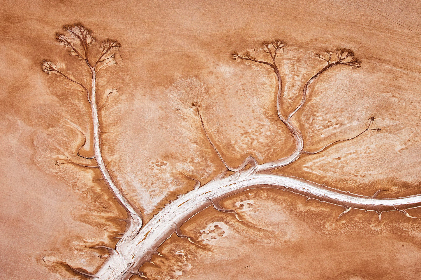 Bloom - Aerial art, Derby Western Australia