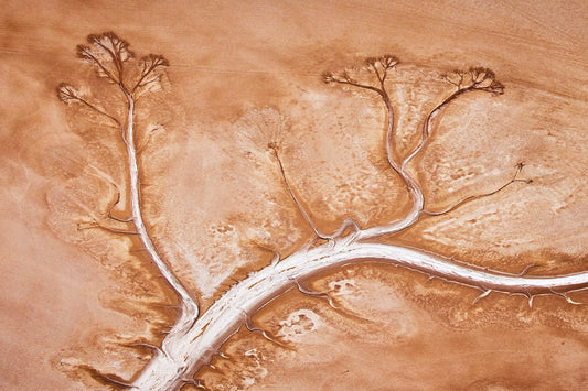 Bloom - Aerial art, Derby Western Australia