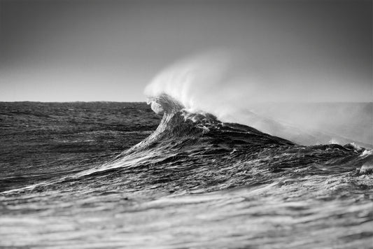 Lone break - Breaking wave Snapper Rocks, Coolangatta Gold Coast