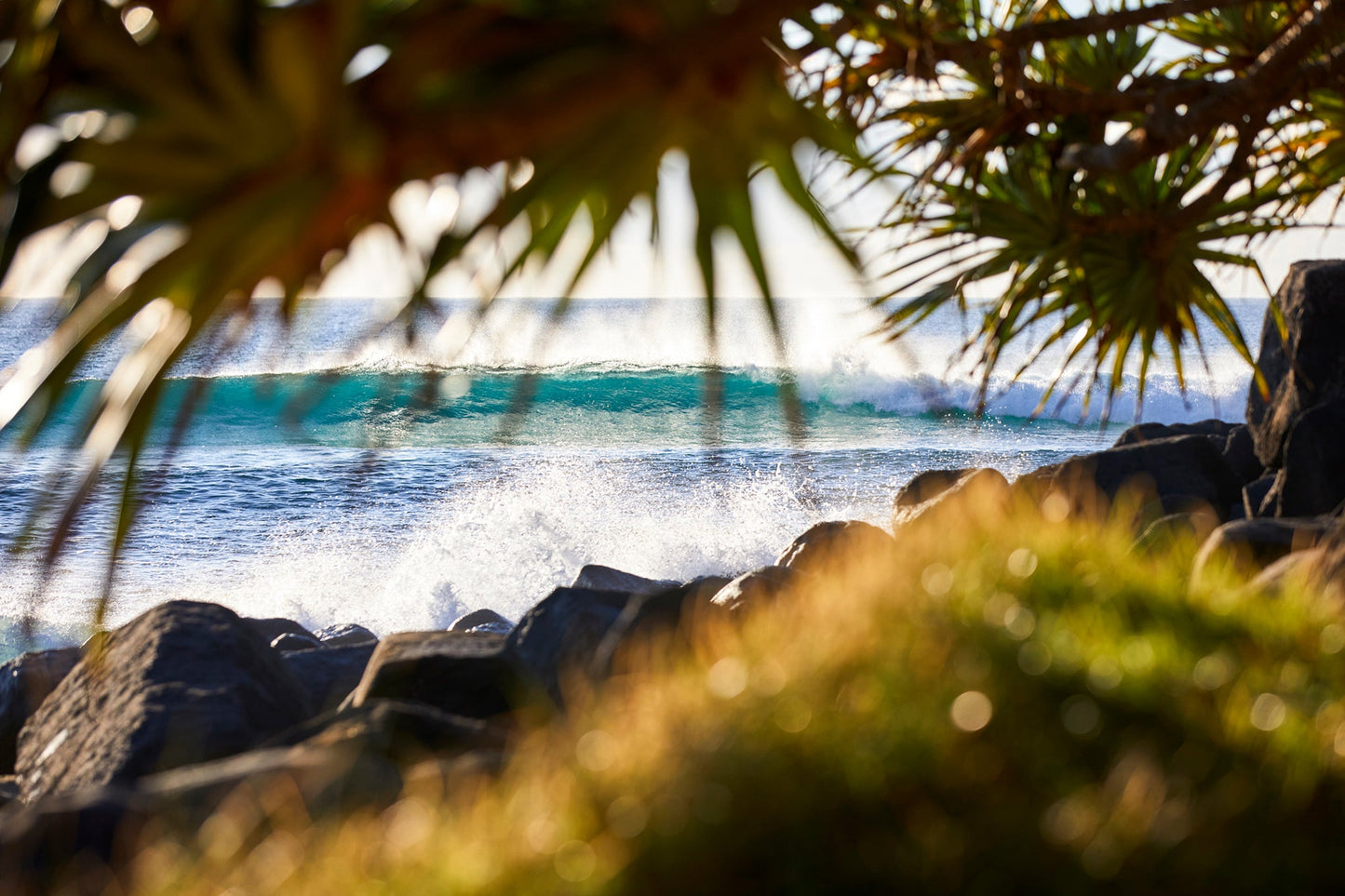 Burleigh surf - Burleigh Heads, Gold Coast
