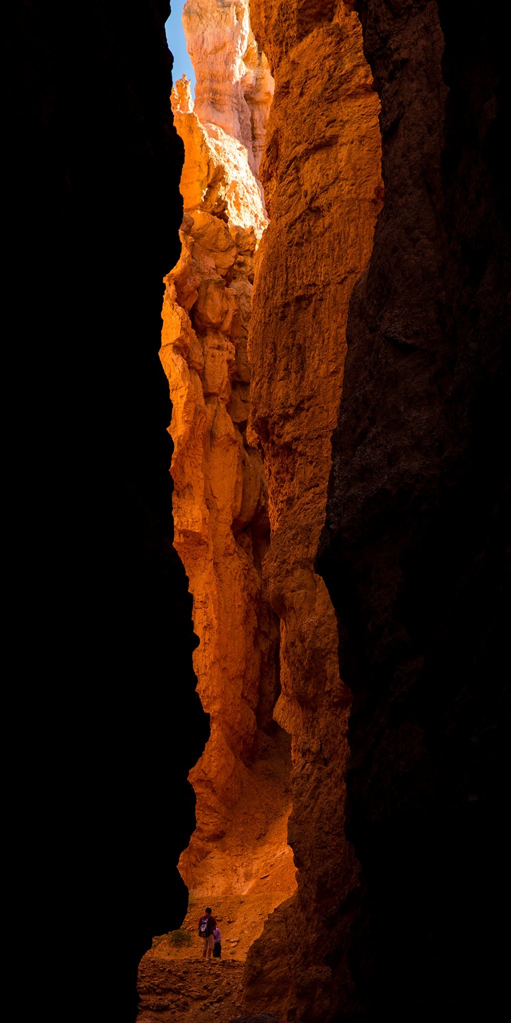Into the abyss - Bryce Canyon, Utah USA