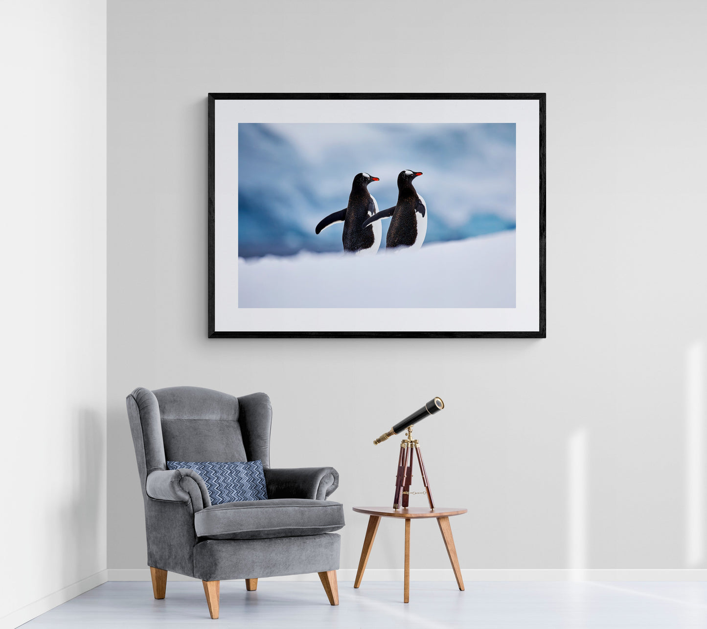 Paired up - Gentoo penguins, Antarctica