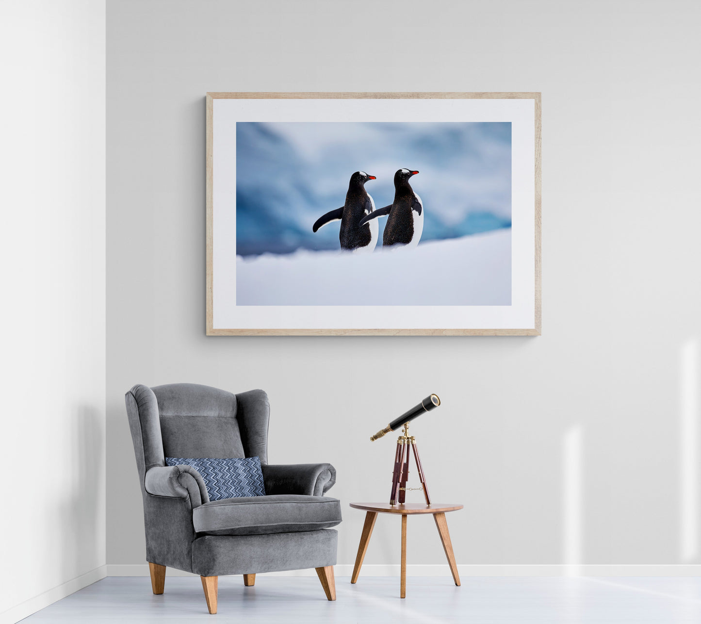 Paired up - Gentoo penguins, Antarctica