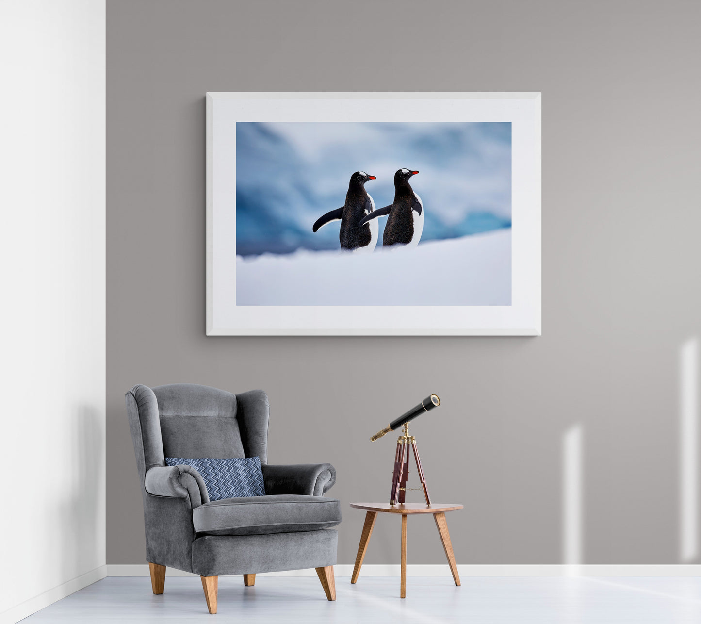 Paired up - Gentoo penguins, Antarctica