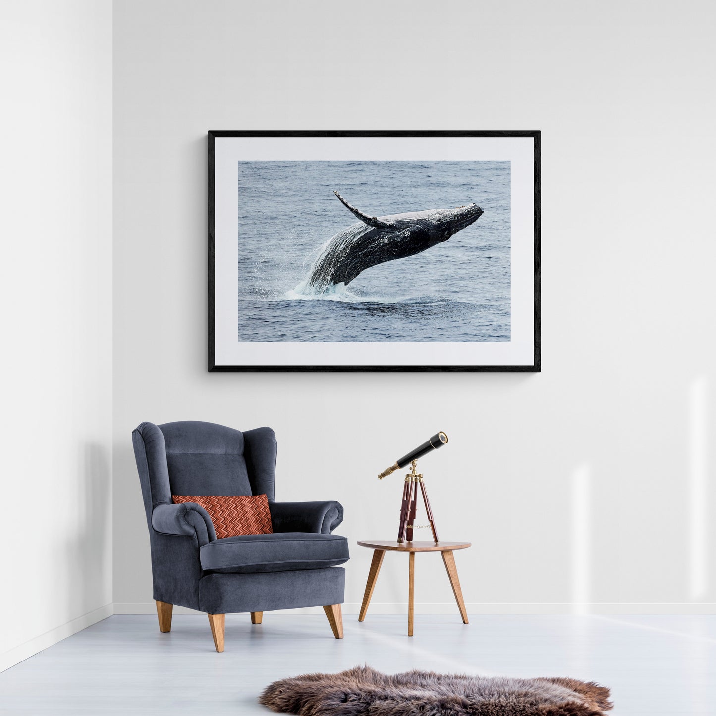 Lift off - Humpback whale, Gold Coast Australia