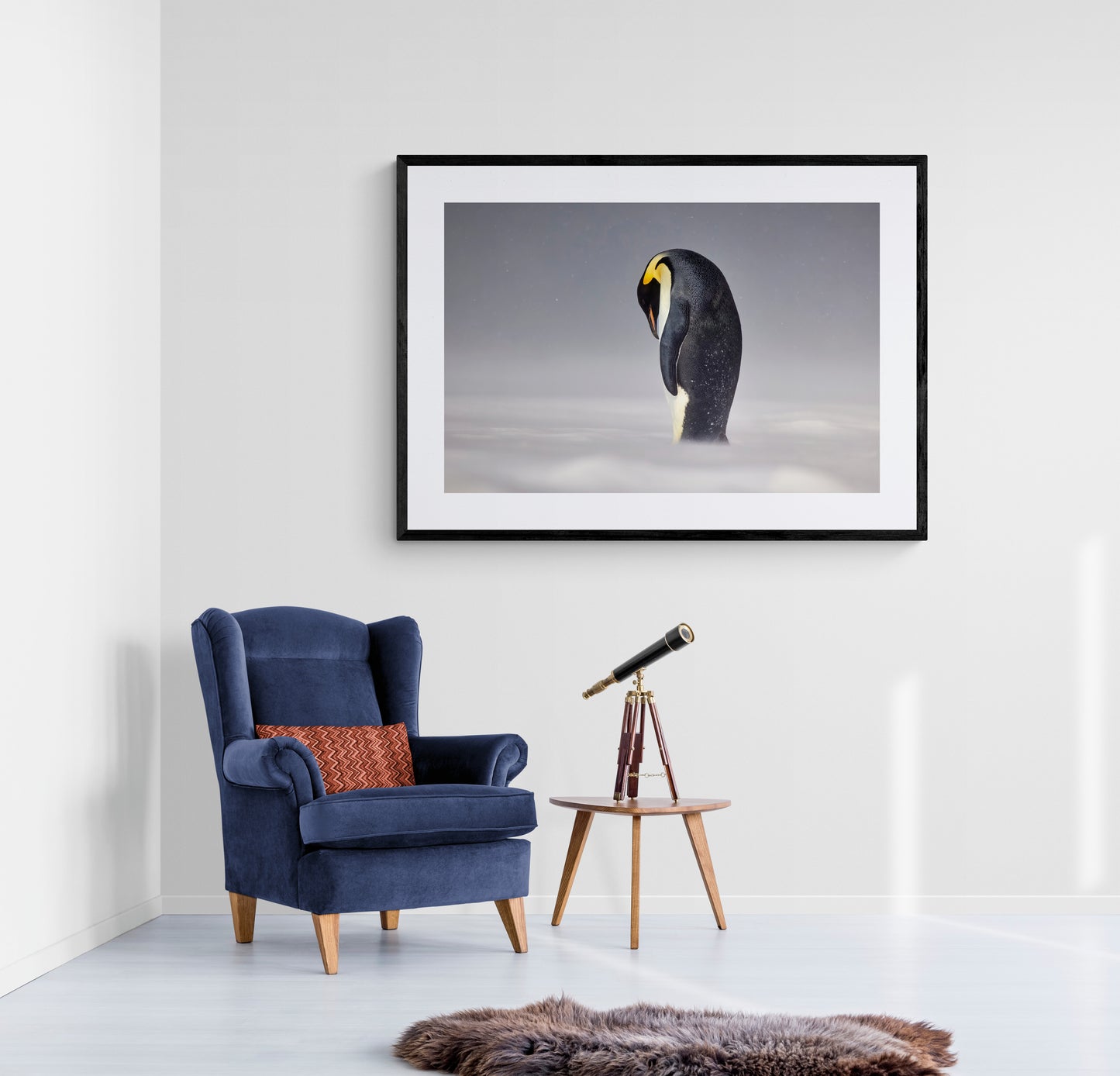 Emperor's rule - Emperor Penguin, Antarctica