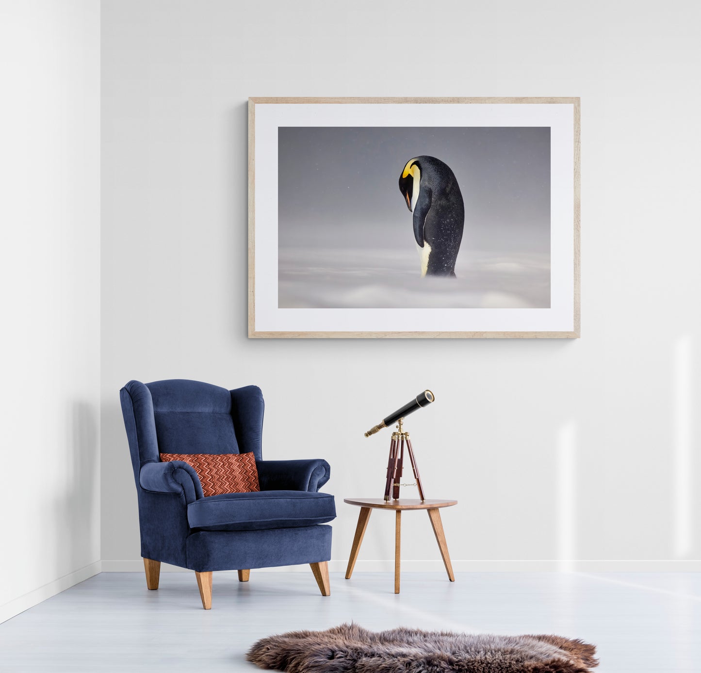 Emperor's rule - Emperor Penguin, Antarctica