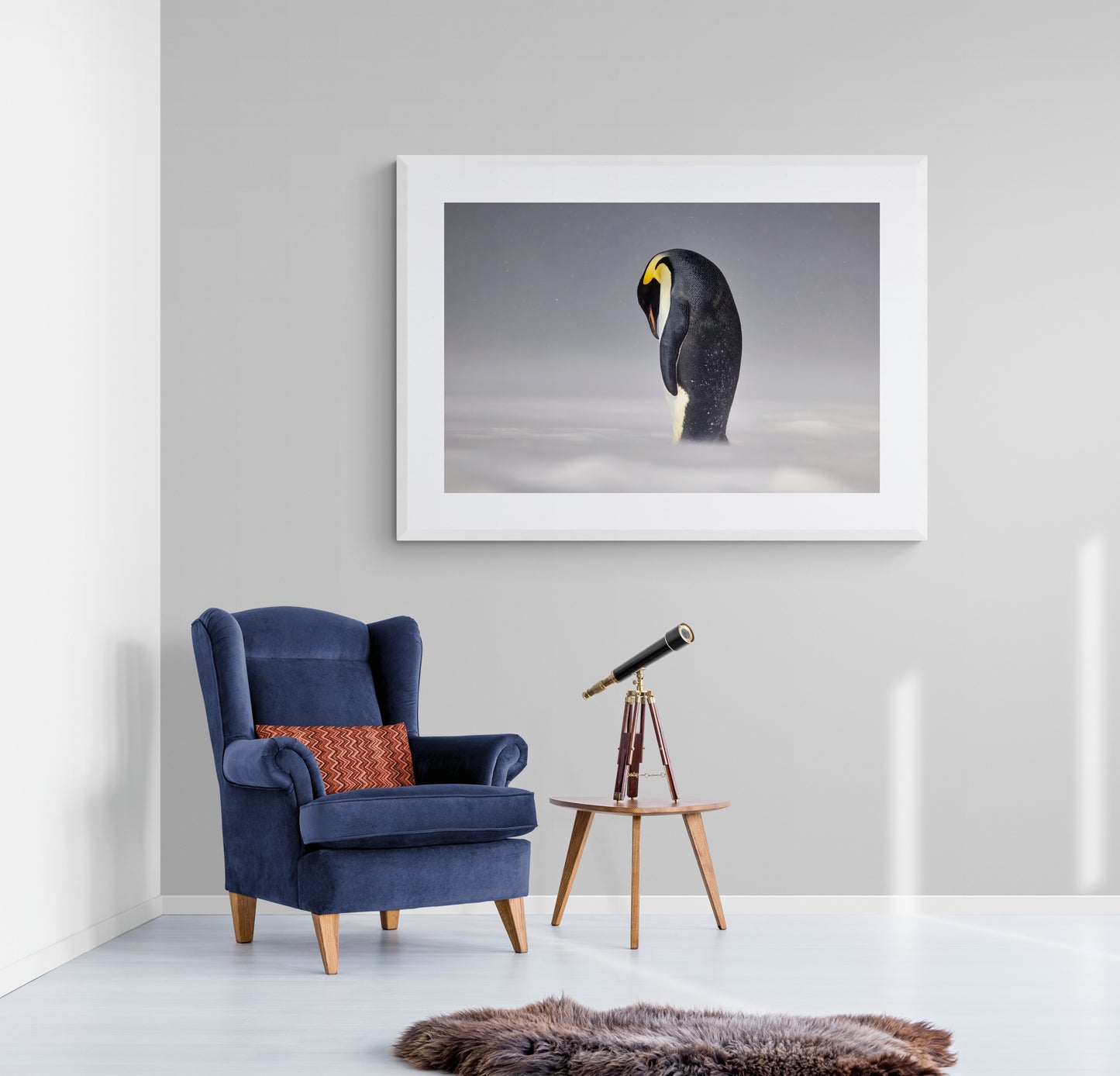 Emperor's rule - Emperor Penguin, Antarctica