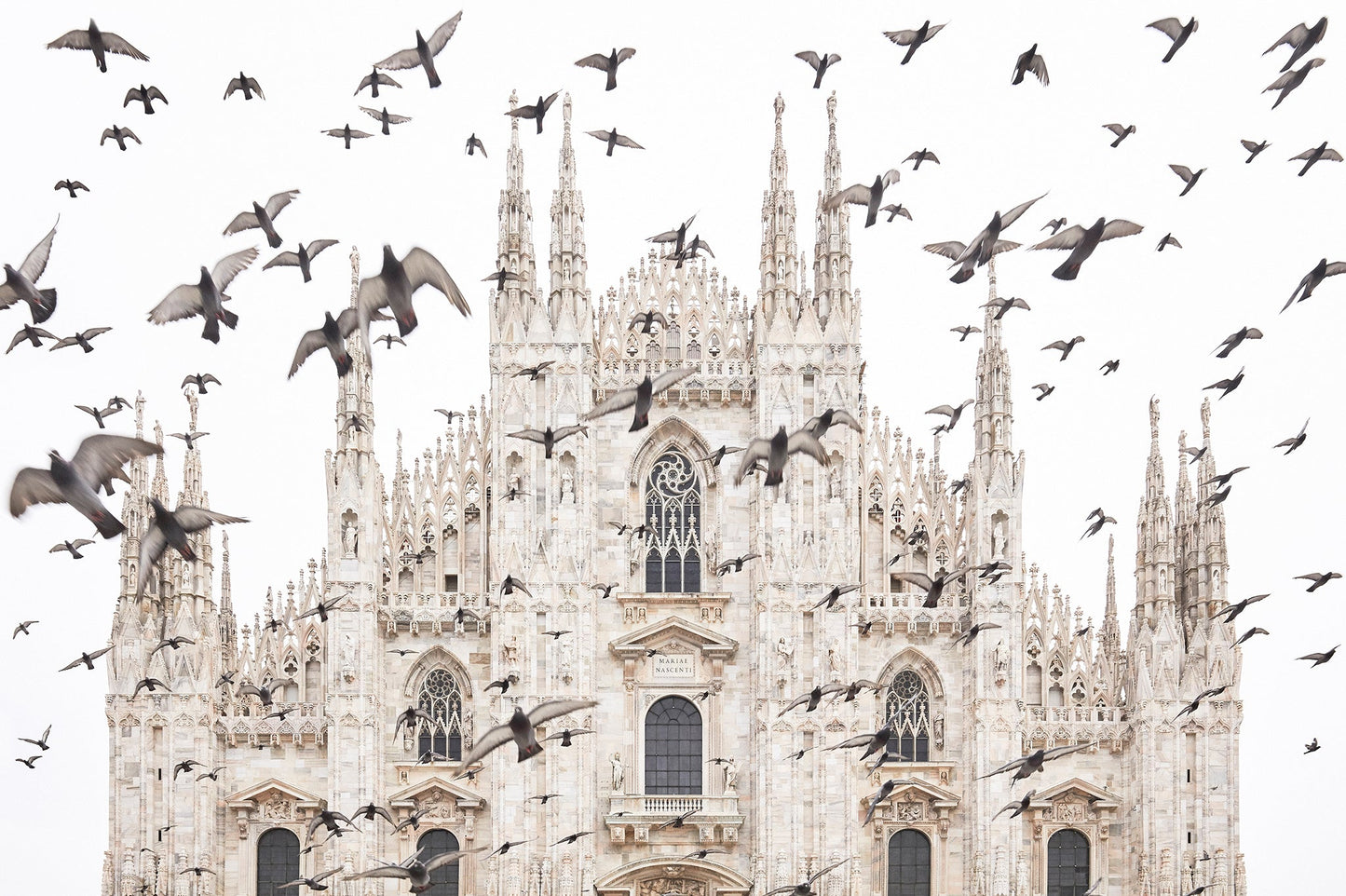 Taking flight - Duomo di Milano (Milan Cathedral), Milan Italy