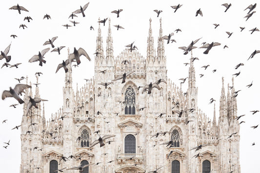 Taking flight - Duomo di Milano (Milan Cathedral), Milan Italy