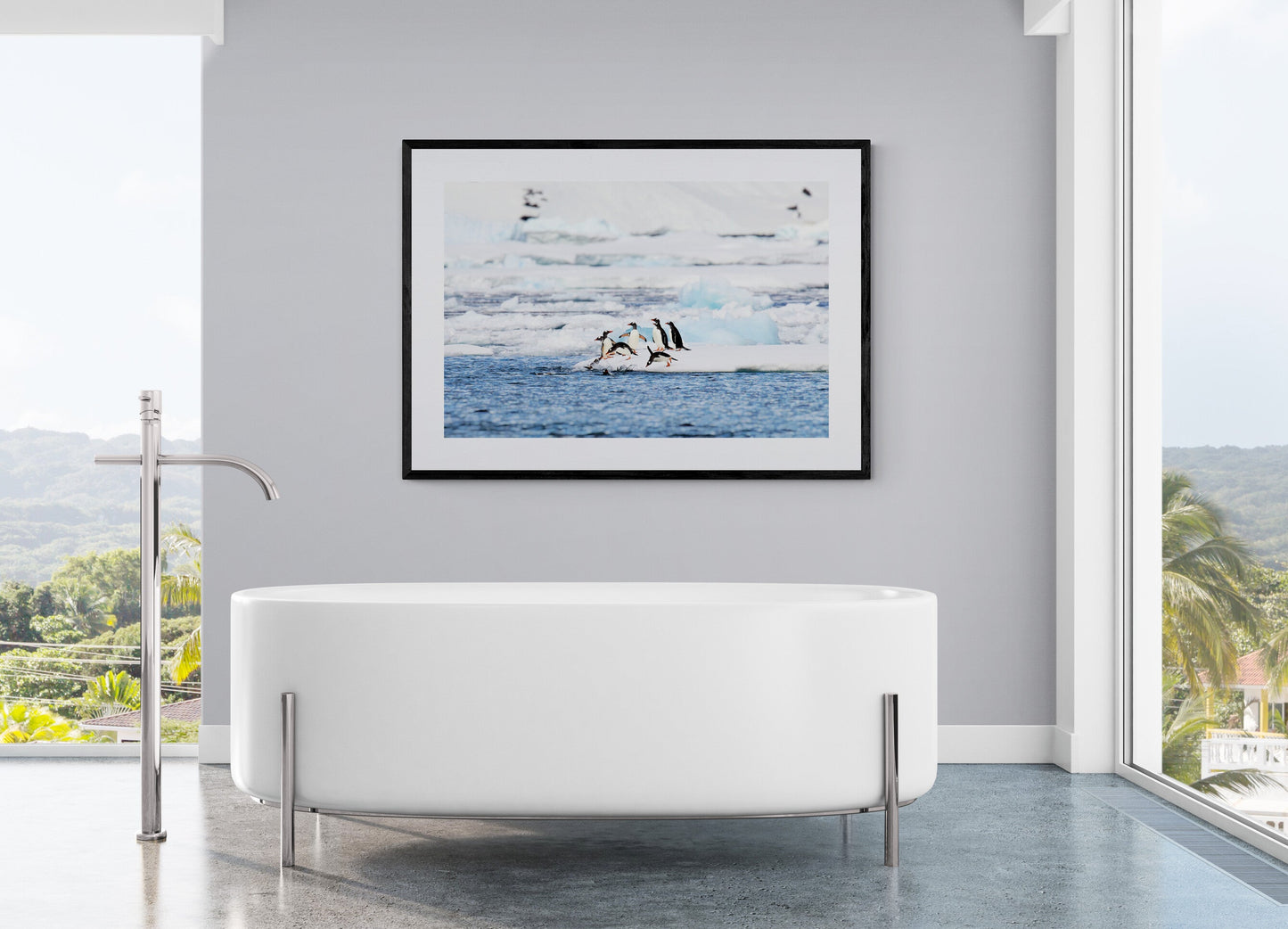 Cool kids - Gentoo penguins, Antarctica