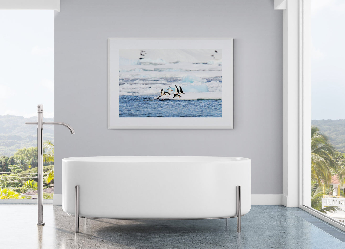 Cool kids - Gentoo penguins, Antarctica