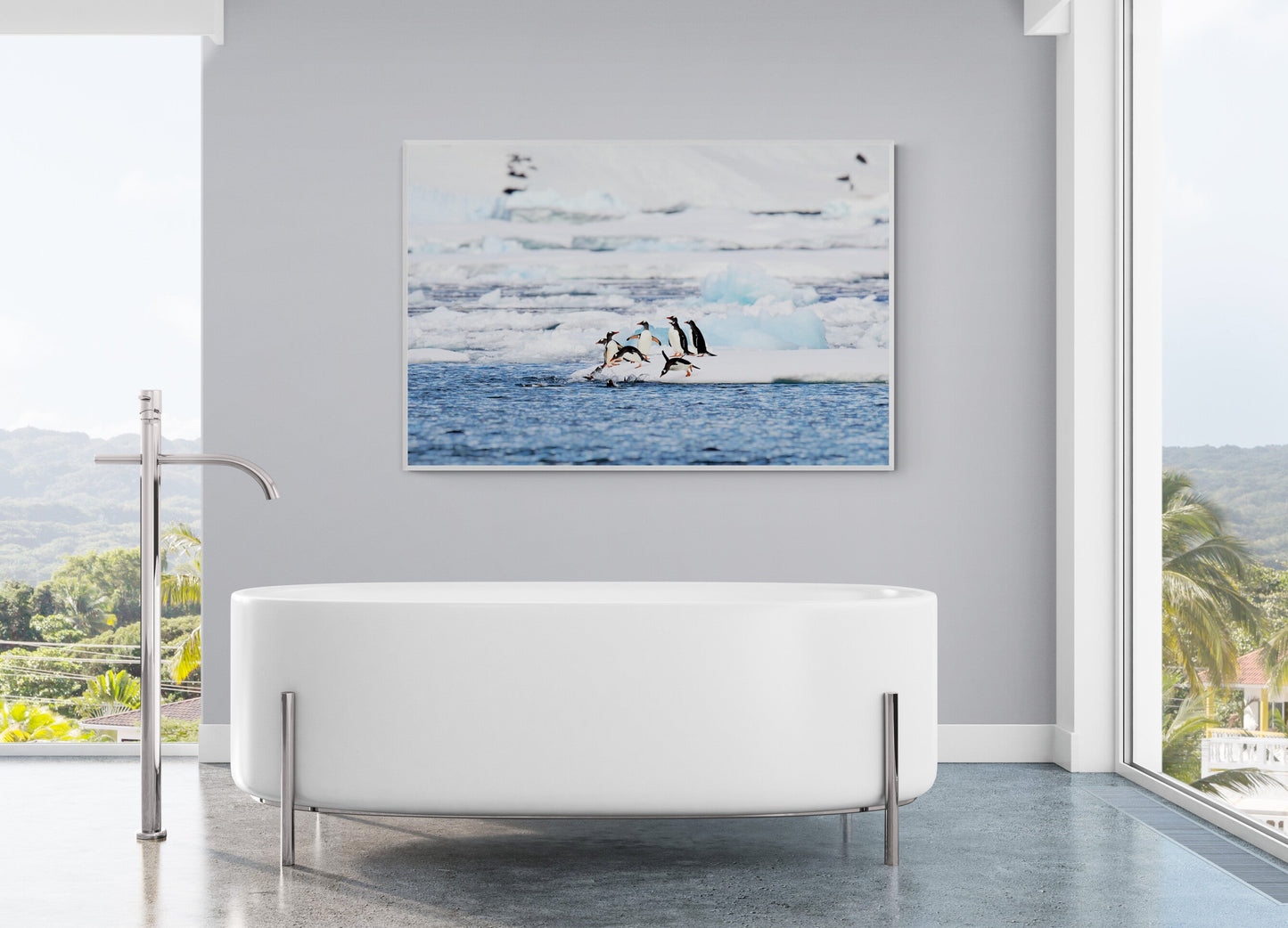 Cool kids - Gentoo penguins, Antarctica