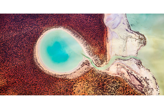 Creation - Ocean art, Shark Bay Western Australia