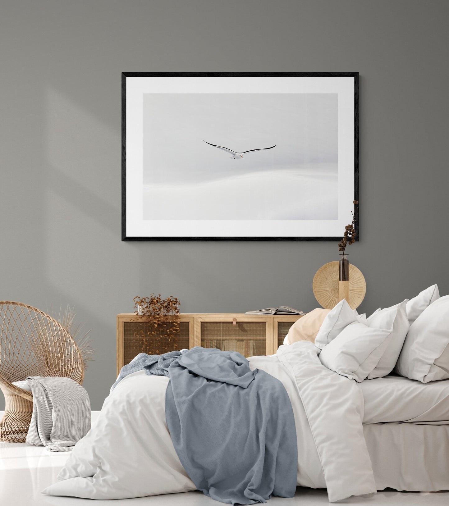 White flight - Black-backed Gull, Antarctica