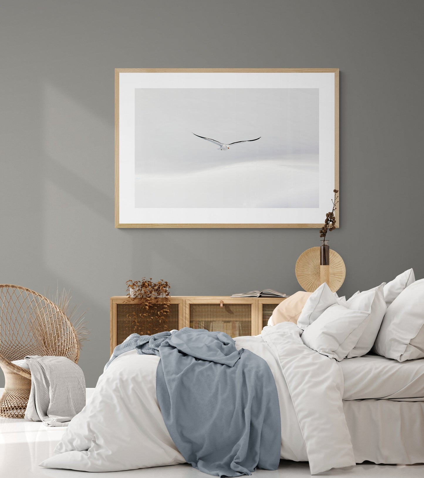 White flight - Black-backed Gull, Antarctica