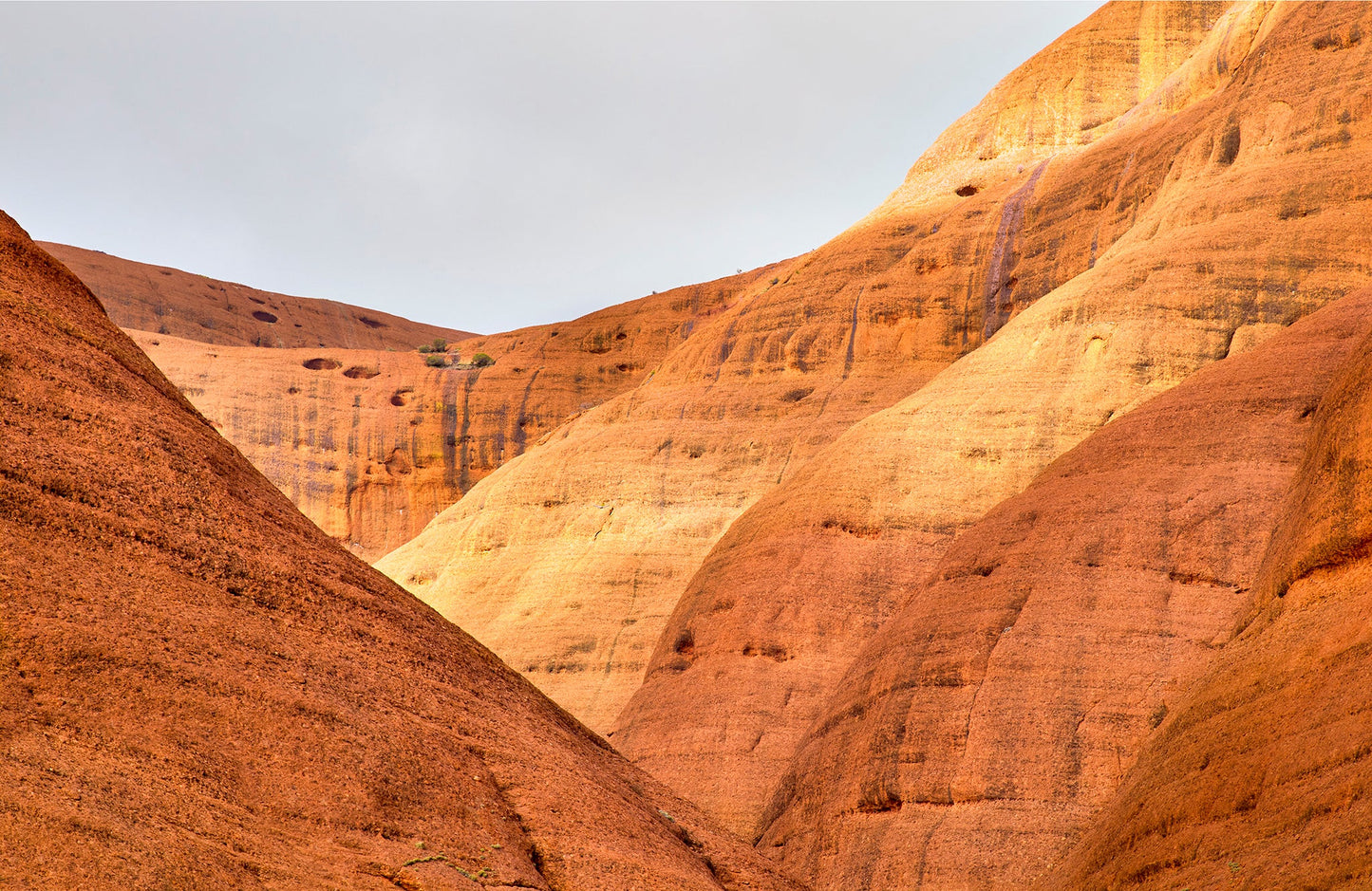 Orange earth - Kata Tjuta (The Olgas) Northern Territory