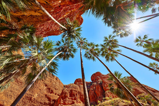 Reach for the sky - Bungle Bungles, Purnululu Western Australia