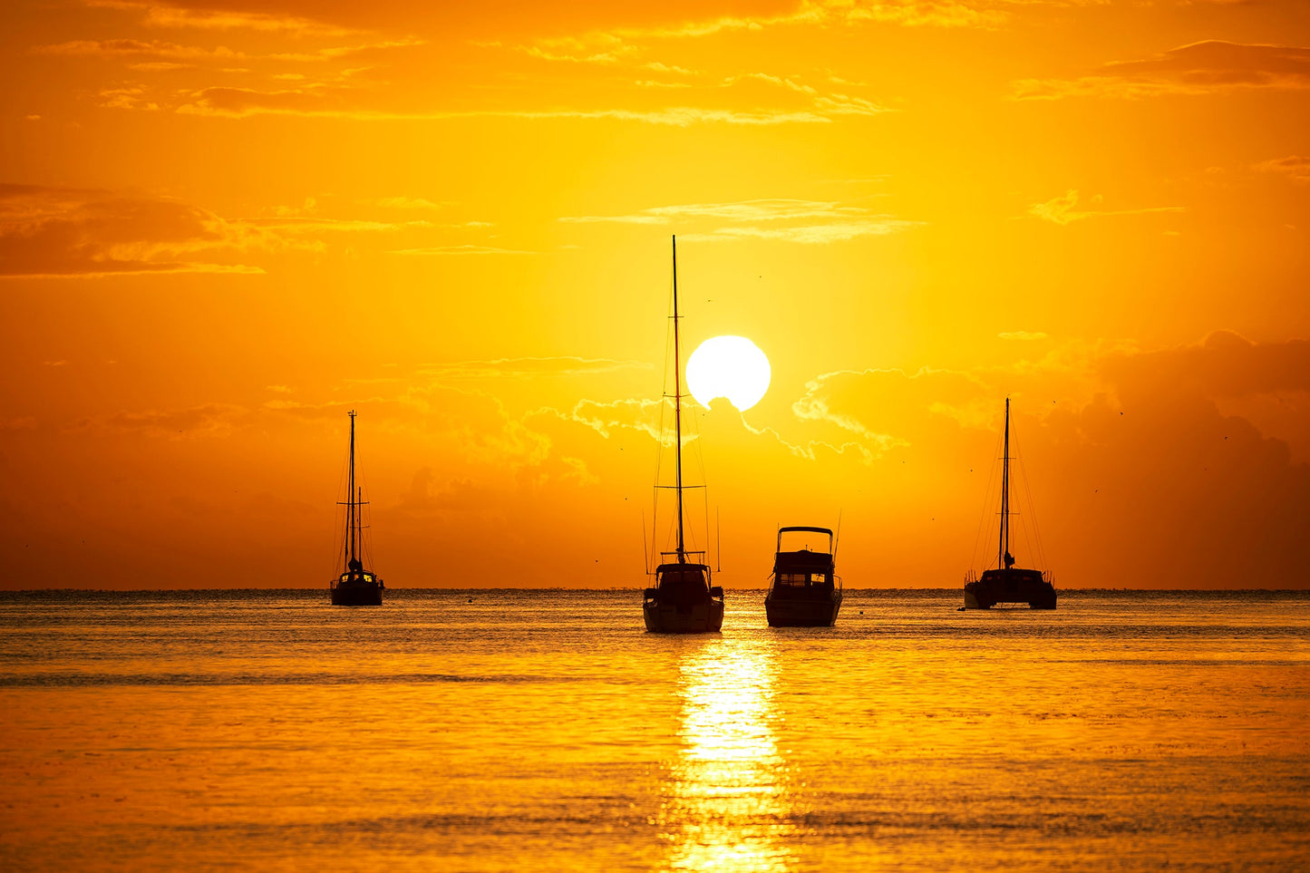 New horizons - Sailboats at Fraser Coast, Queensland