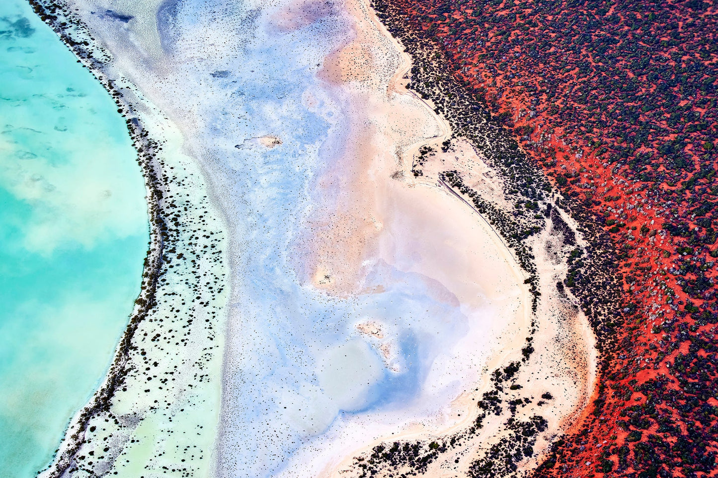 Crimson coast - Ocean art, Shark Bay Western Australia