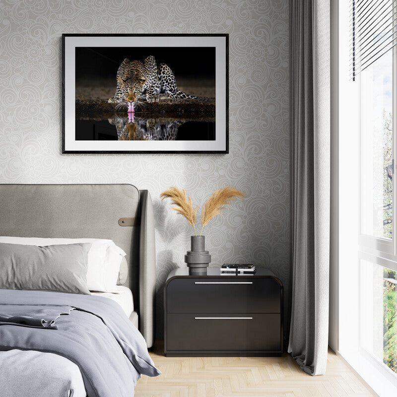 On alert - Leopard, Kenya