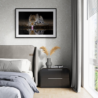 On alert - Leopard, Kenya