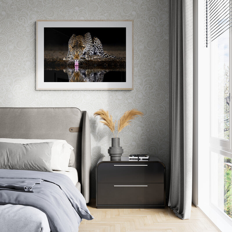 On alert - Leopard, Kenya