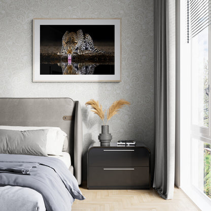 On alert - Leopard, Kenya