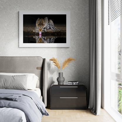 On alert - Leopard, Kenya