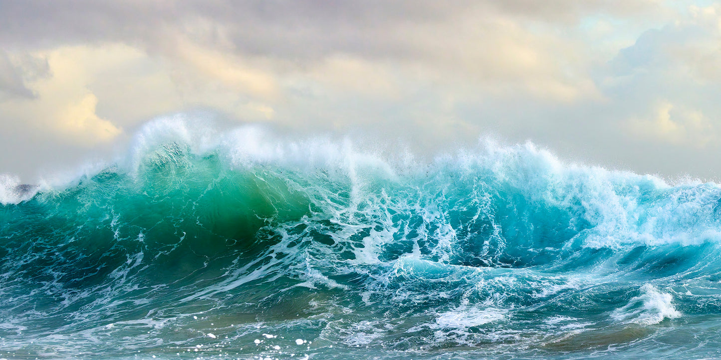 Leviathan - Breaking wave Snapper Rocks, Gold Coast