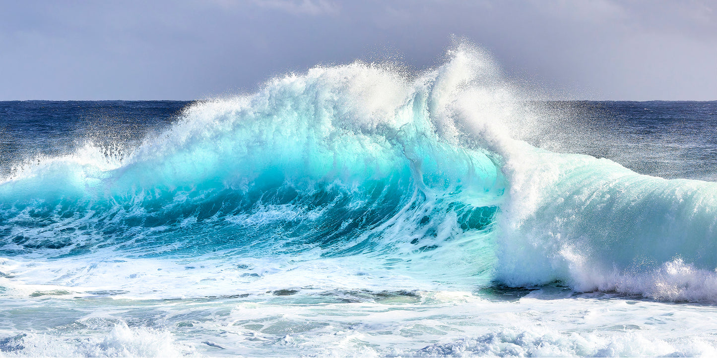 Aqua flux - Breaking wave Snapper Rocks, Gold Coast