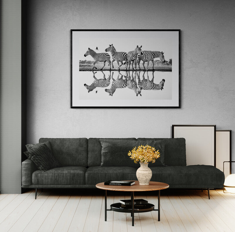 Rhythm of the wild - Zebras, Kenya