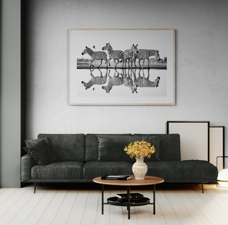 Rhythm of the wild - Zebras, Kenya