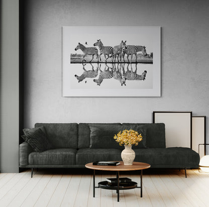 Rhythm of the wild - Zebras, Kenya