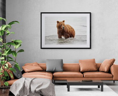 Submerged - Brown bear, Kamchatka Russia