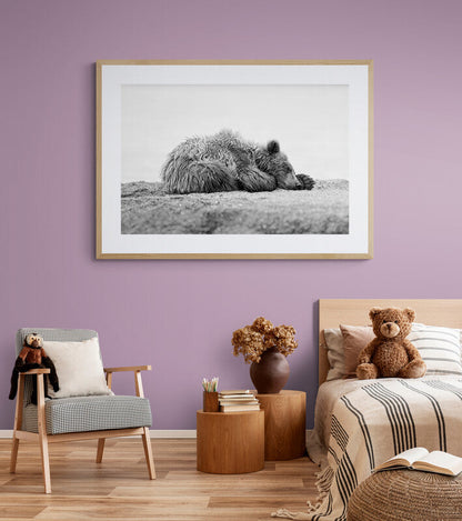Sweet Dreams - Brown bear, Kamchatka Russia