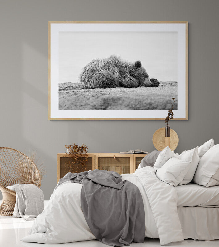 Sweet Dreams - Brown bear, Kamchatka Russia