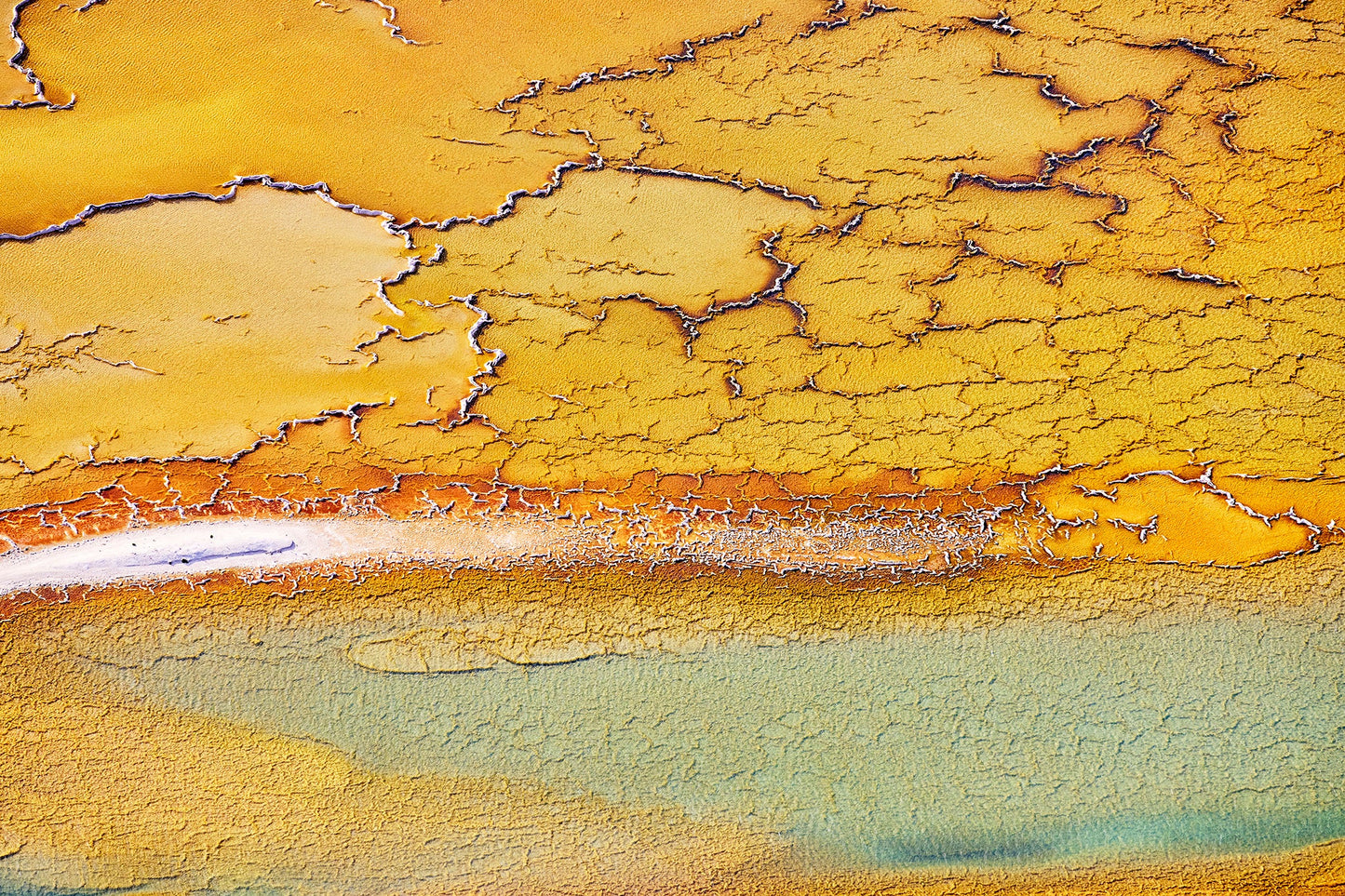 Gold crust - Aerial art, Shark Bay Western Australia