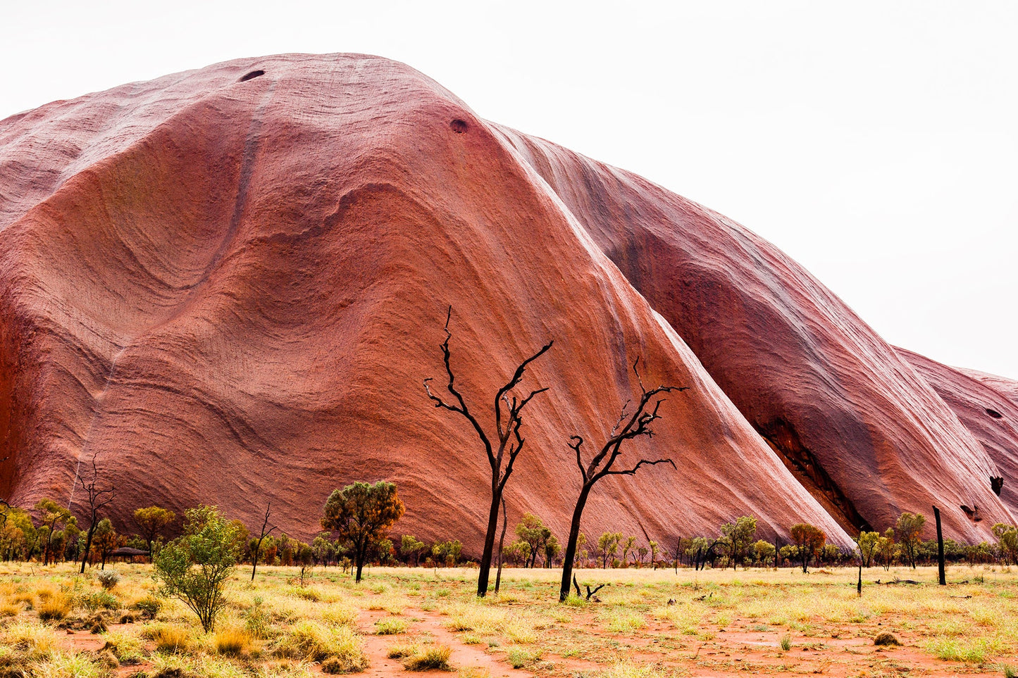 Red ripples - Uluru (Ayers Rock) Northern Territory