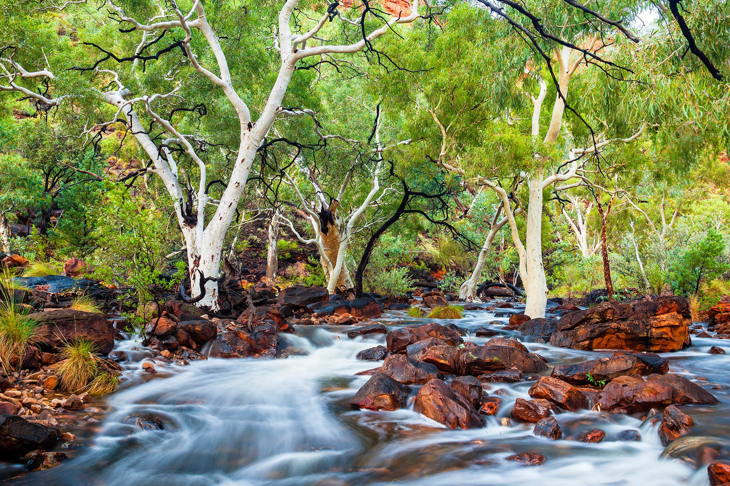 Flow of life - Kings Creek, Kings Canyon Northern Territory