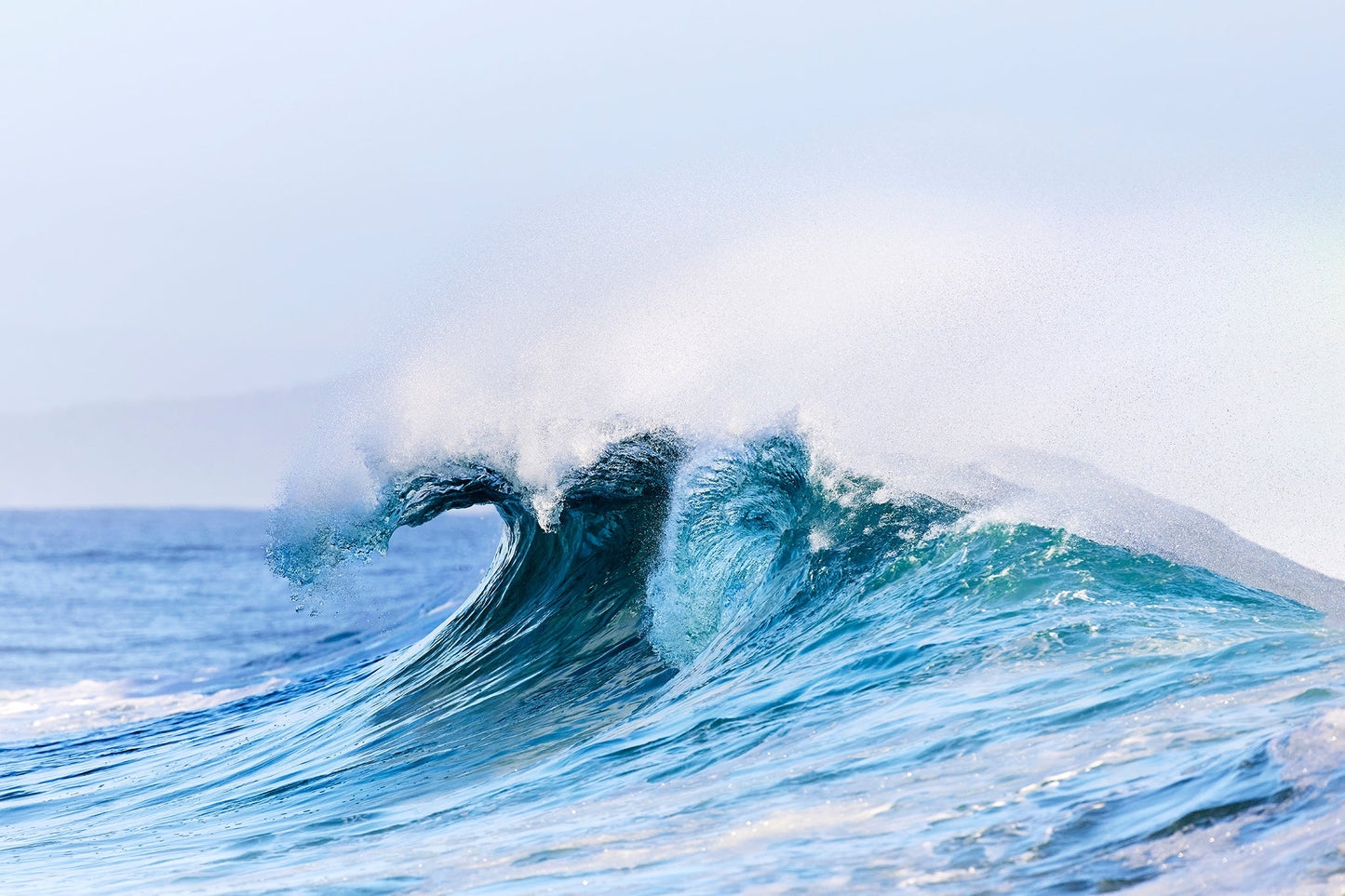 Blue curl - Breaking wave Snapper Rocks, Gold Coast