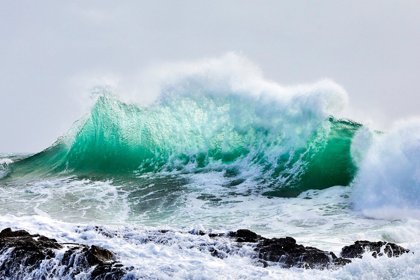 Rise up - Breaking wave Snapper Rocks, Gold Coast