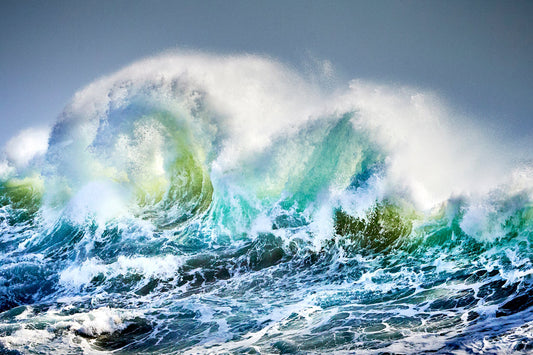 Fury - Breaking wave at Snapper Rocks, Gold Coast